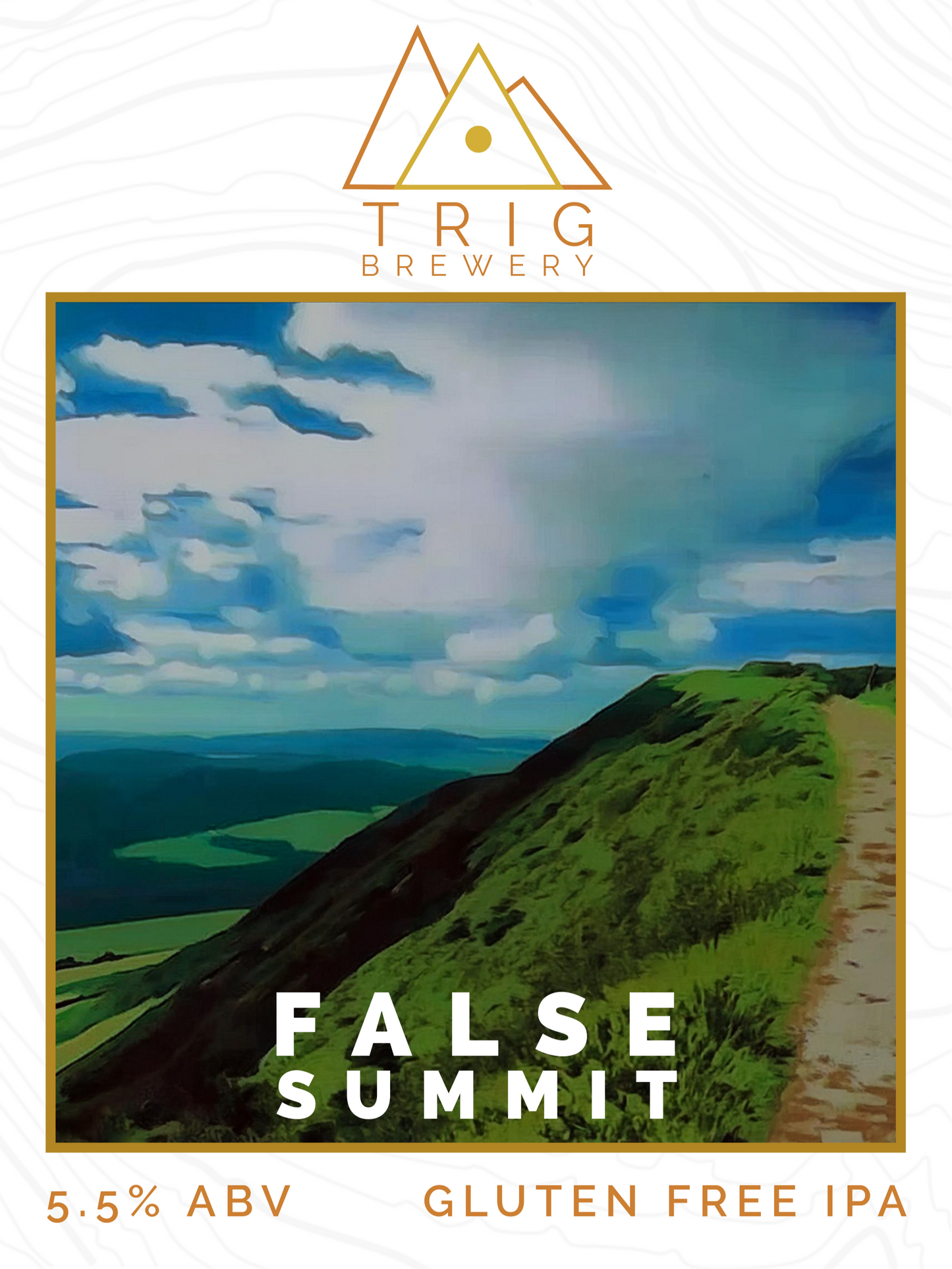 False Summit - 5.5% Gluten Free American IPA - 440ml Can