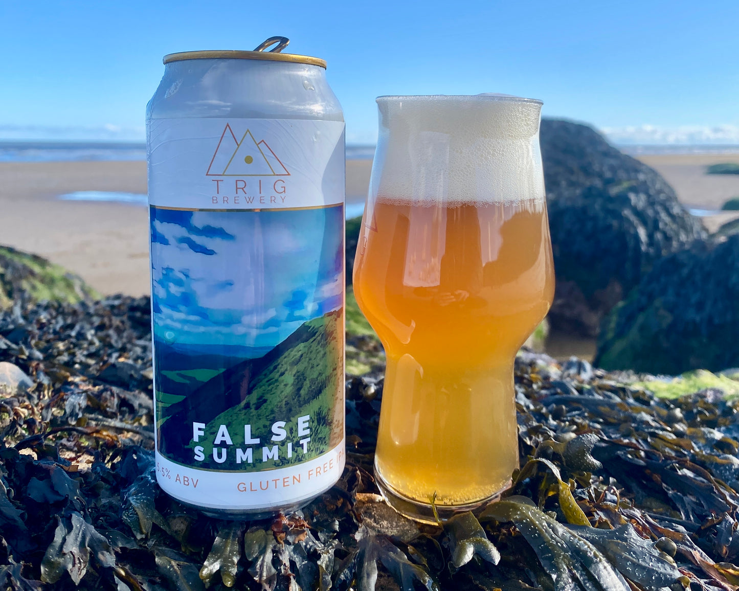 False Summit - 5.5% Gluten Free American IPA - 440ml Can