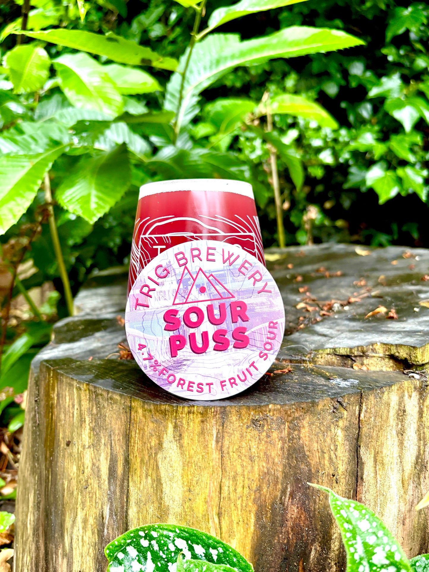 Sour Puss - 4.7% Forest Fruit Sour - 440ml Can