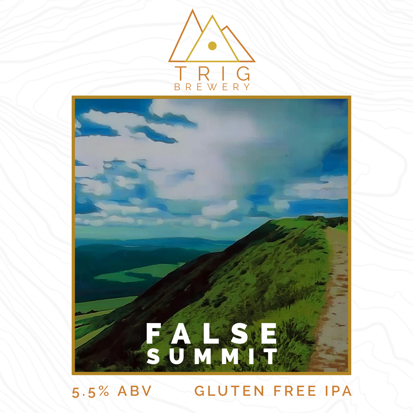 False Summit - 5.5% Gluten Free American IPA - 440ml Can